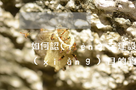 如何認(rèn)定建設(shè)工程項(xiàng)目的實(shí)際施工人？